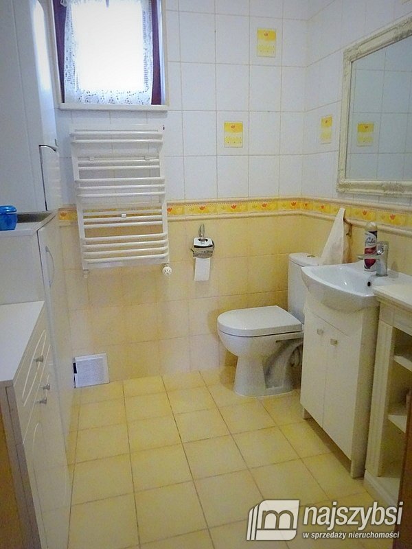 Dom do wynajęcia - Morzyczyn (9)