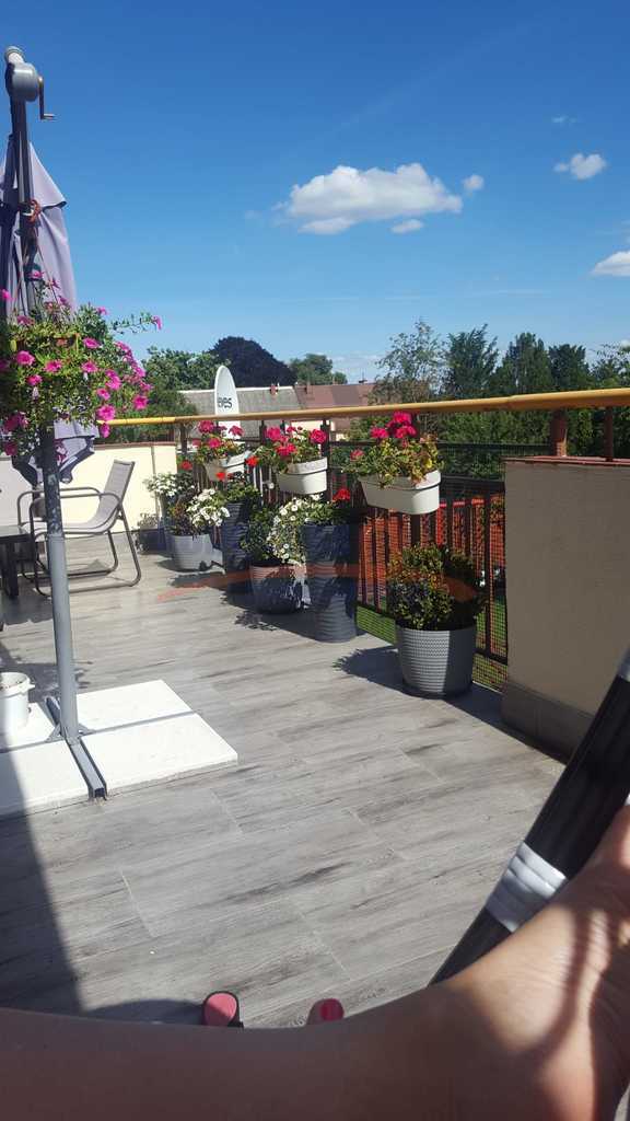 Do wynajęcia 3 pok. taras 22m2 , balkon , garaż. (21)