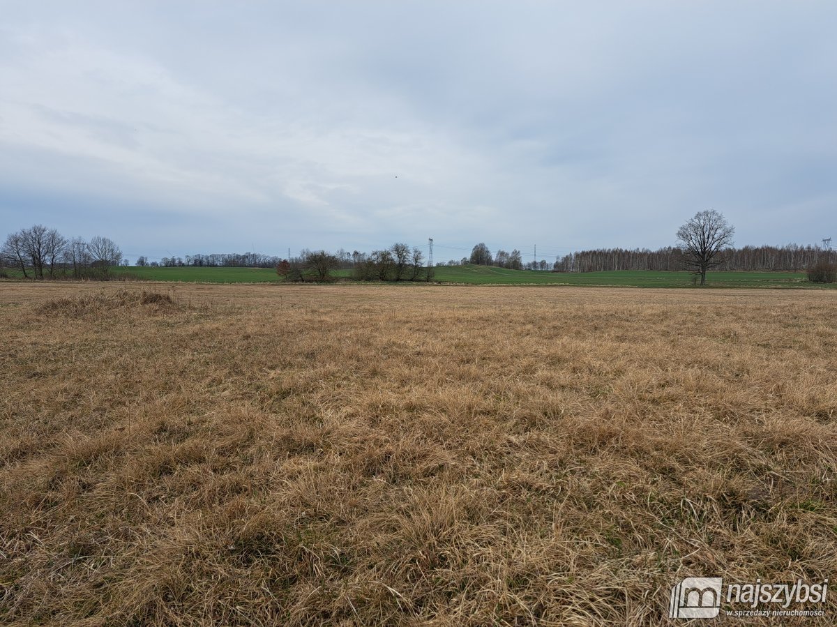 Nowe Bielice - Działka rolna (1)