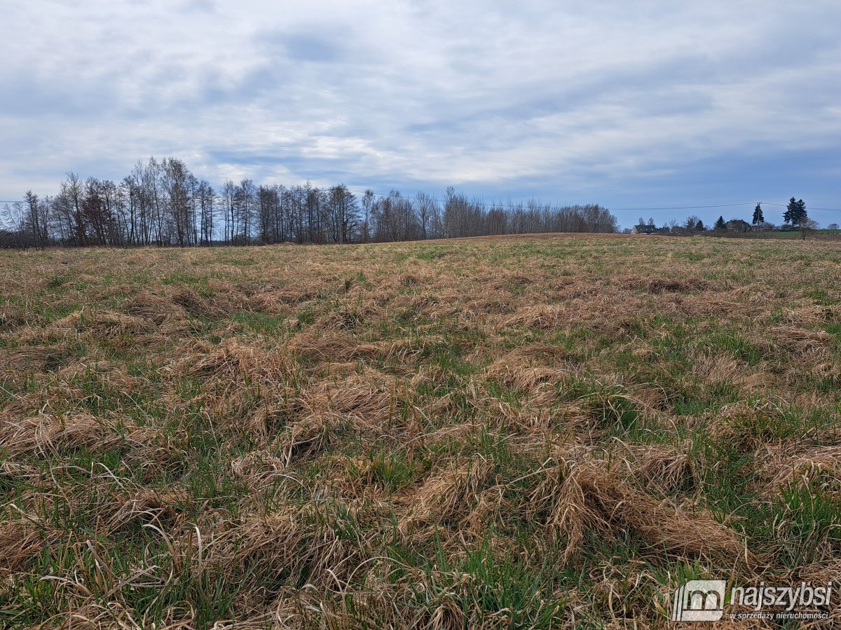 Nowe Bielice - Działka rolna (10)