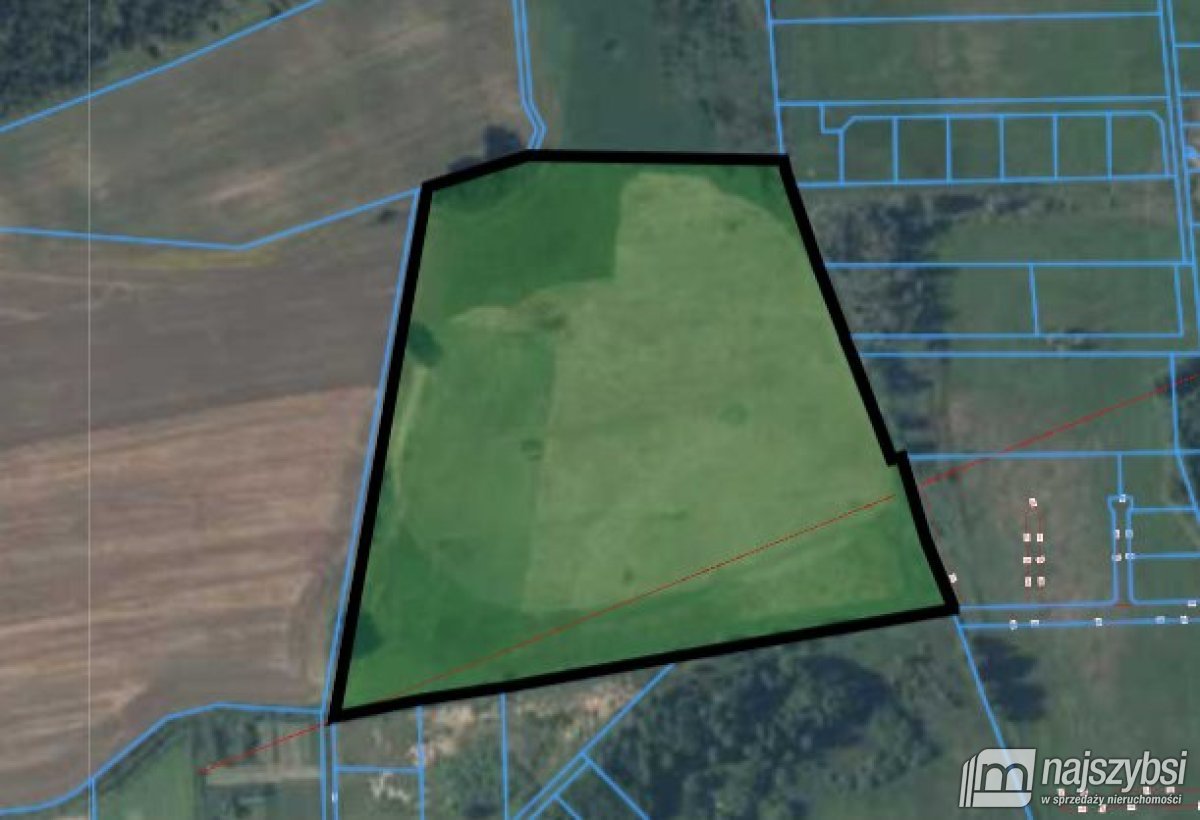 Nowe Bielice - Działka rolna (11)