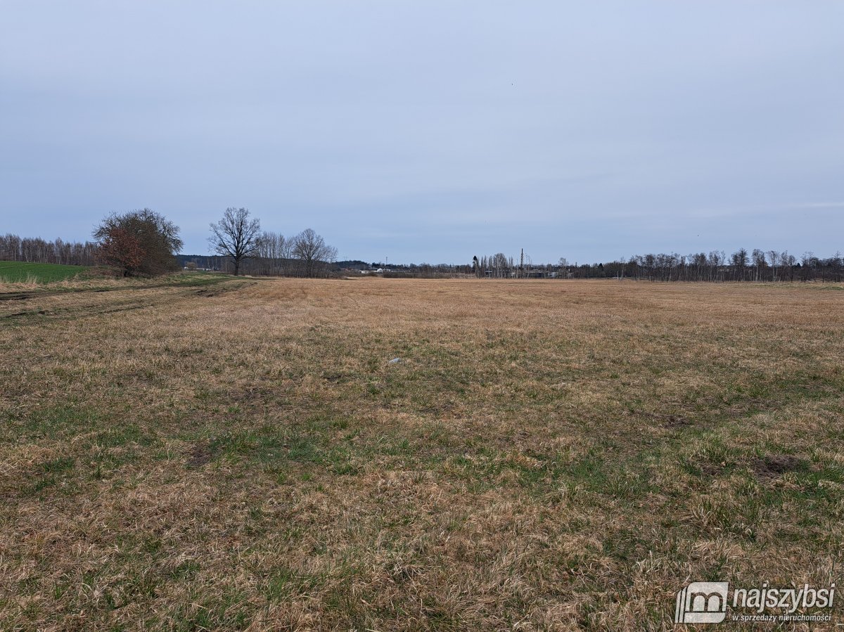 Nowe Bielice - Działka rolna (2)