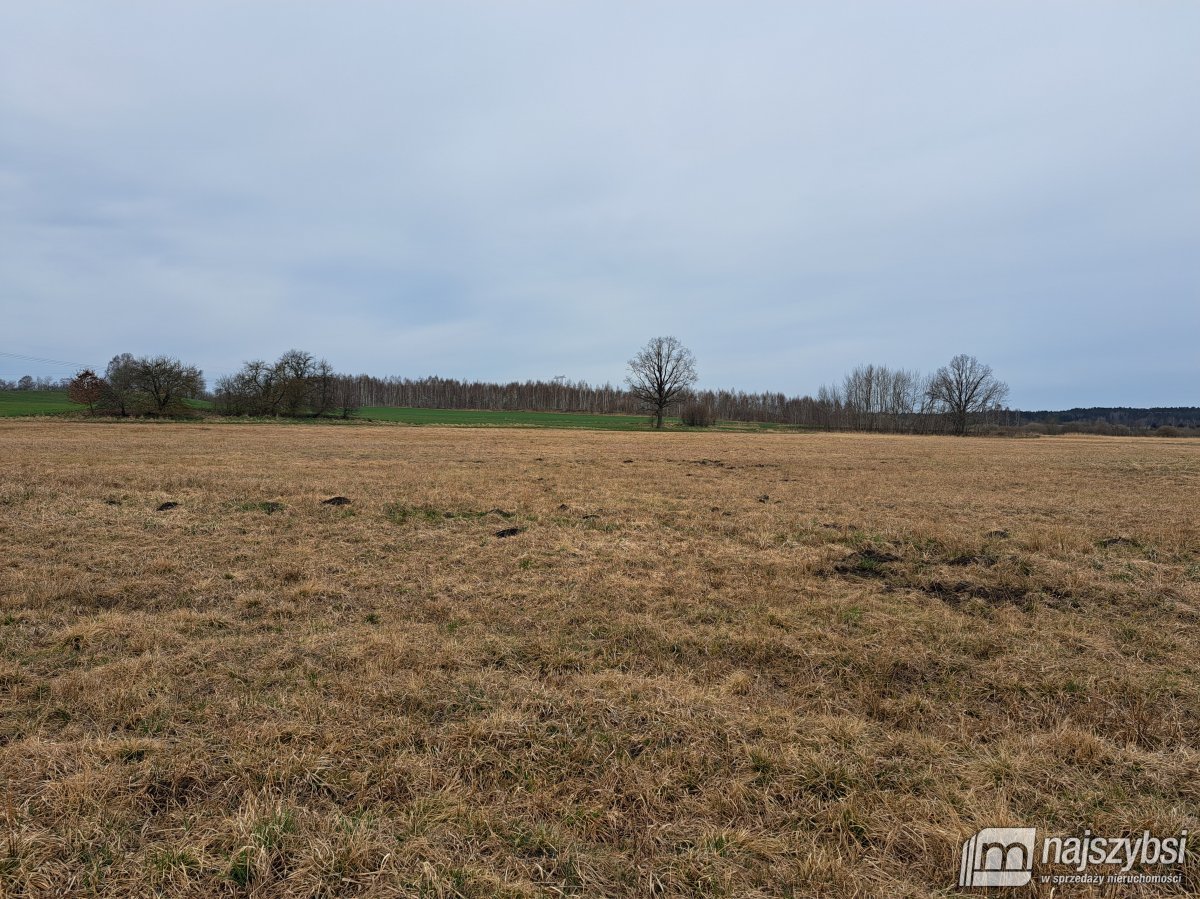 Nowe Bielice - Działka rolna (3)