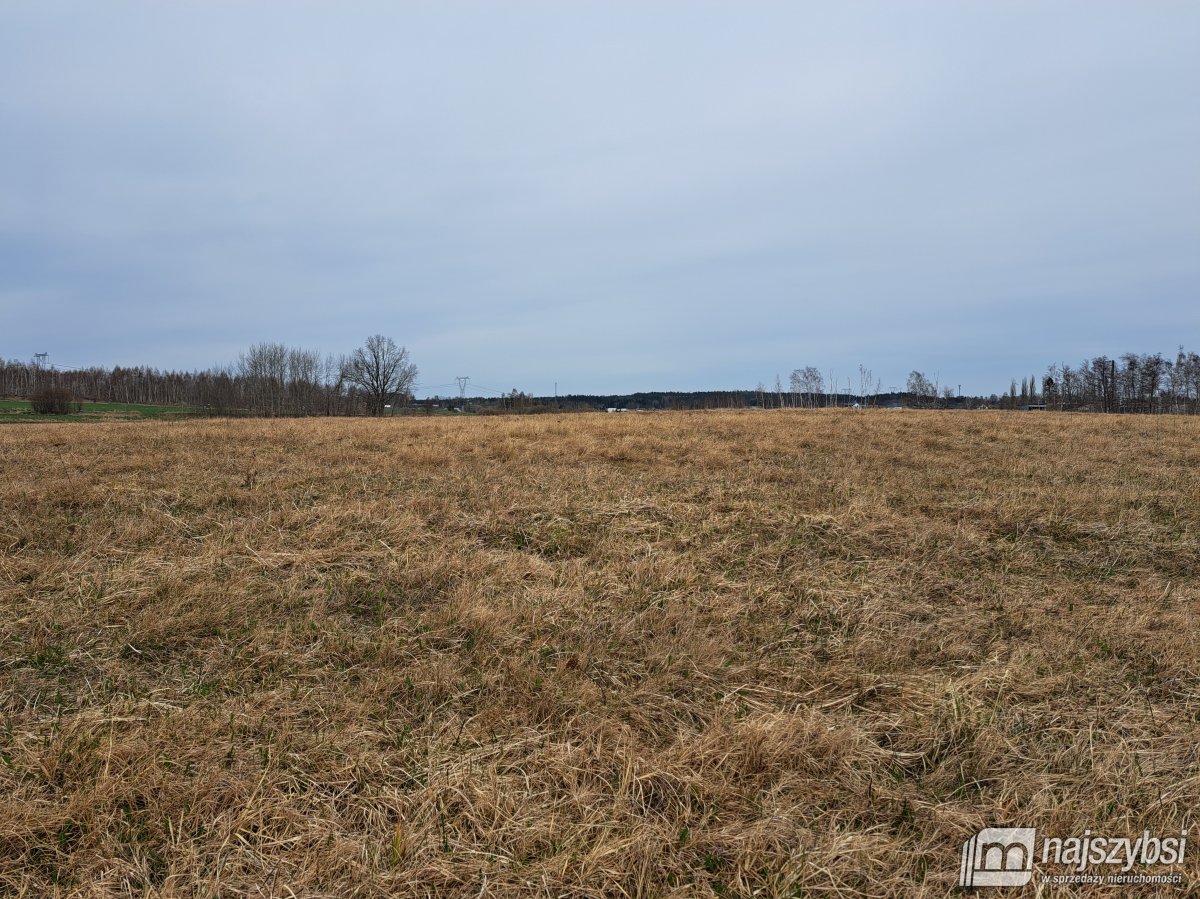 Nowe Bielice - Działka rolna (4)