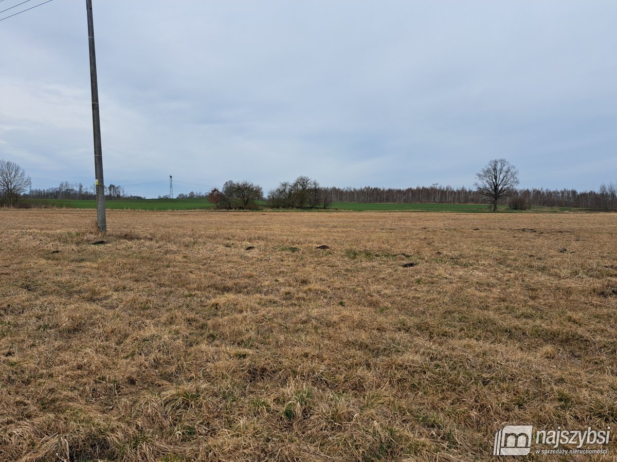 Nowe Bielice - Działka rolna (5)