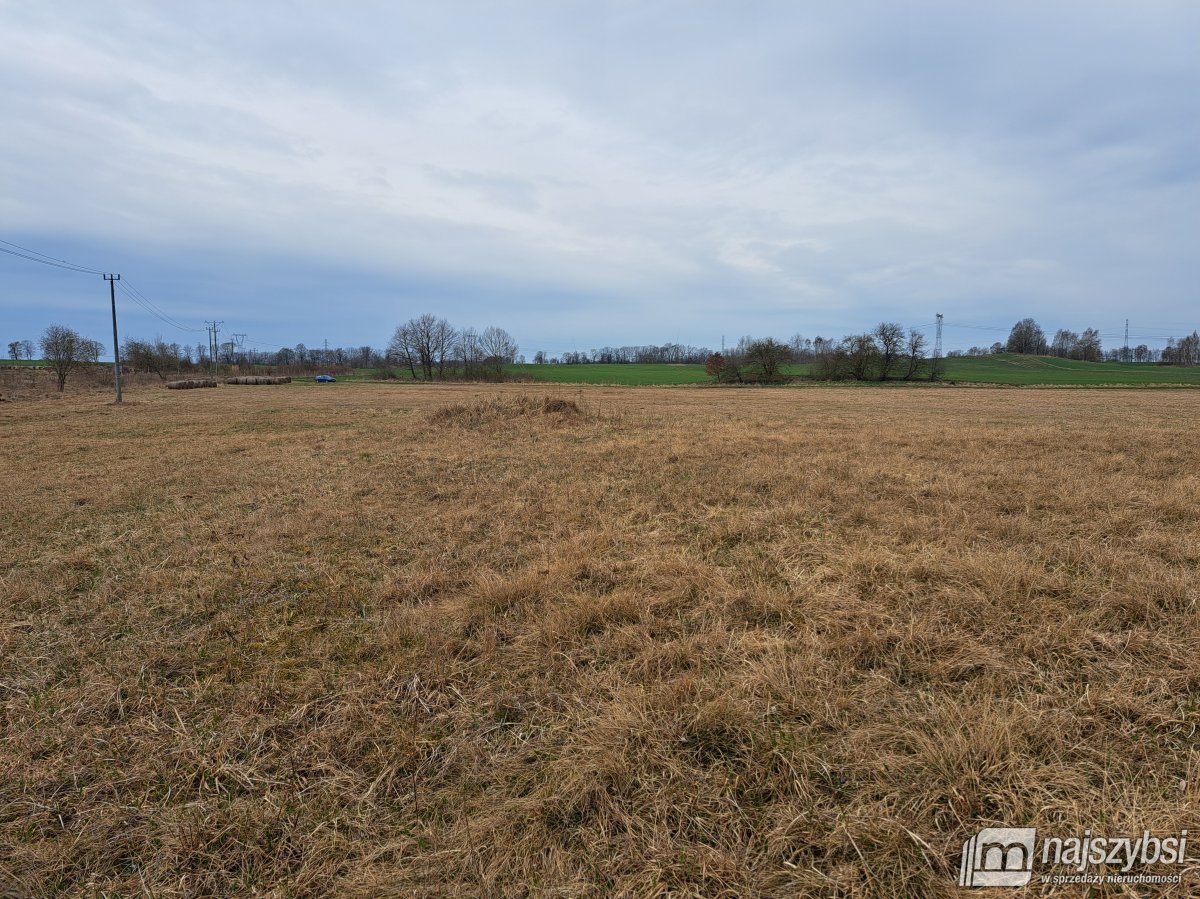 Nowe Bielice - Działka rolna (6)