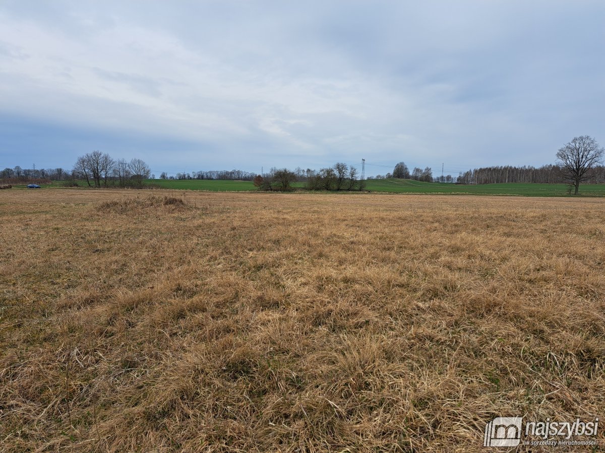 Nowe Bielice - Działka rolna (7)