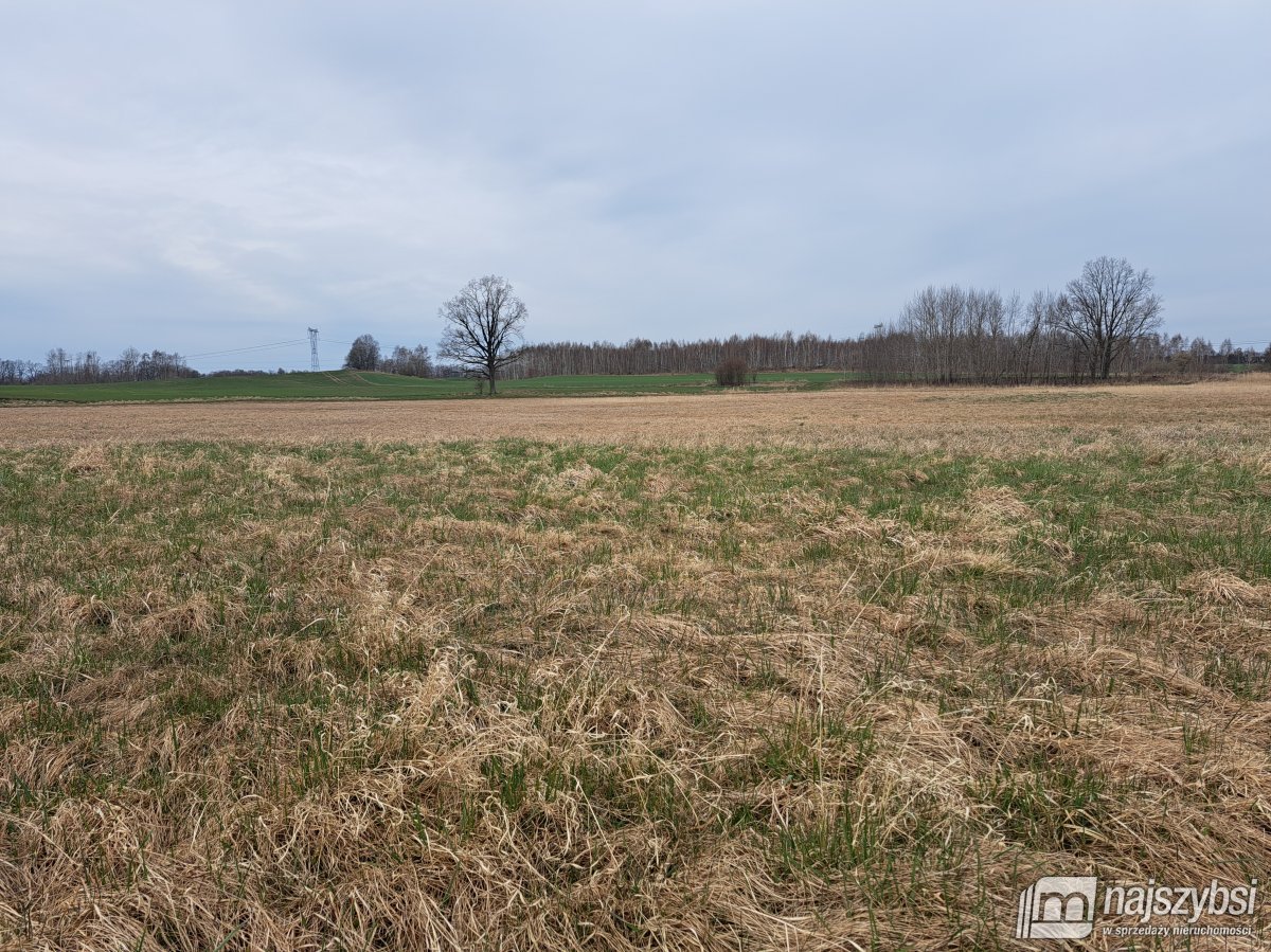 Nowe Bielice - Działka rolna (8)