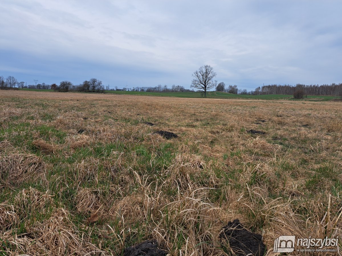 Nowe Bielice - Działka rolna (9)