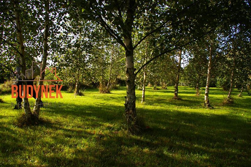 Dom letniskowy - Jezierzany  (6)