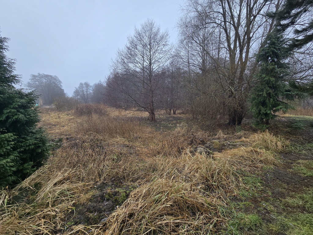 Działka przy plaży w Trzebieży (2)