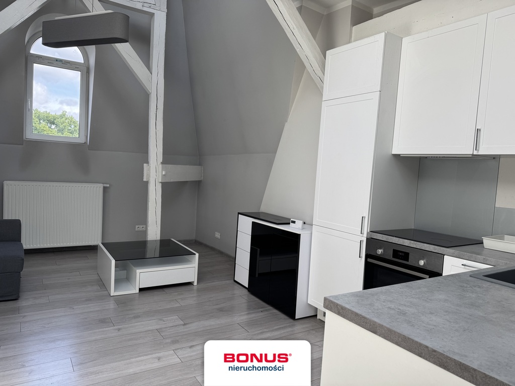 Kawalerka w centrum miasta (2)