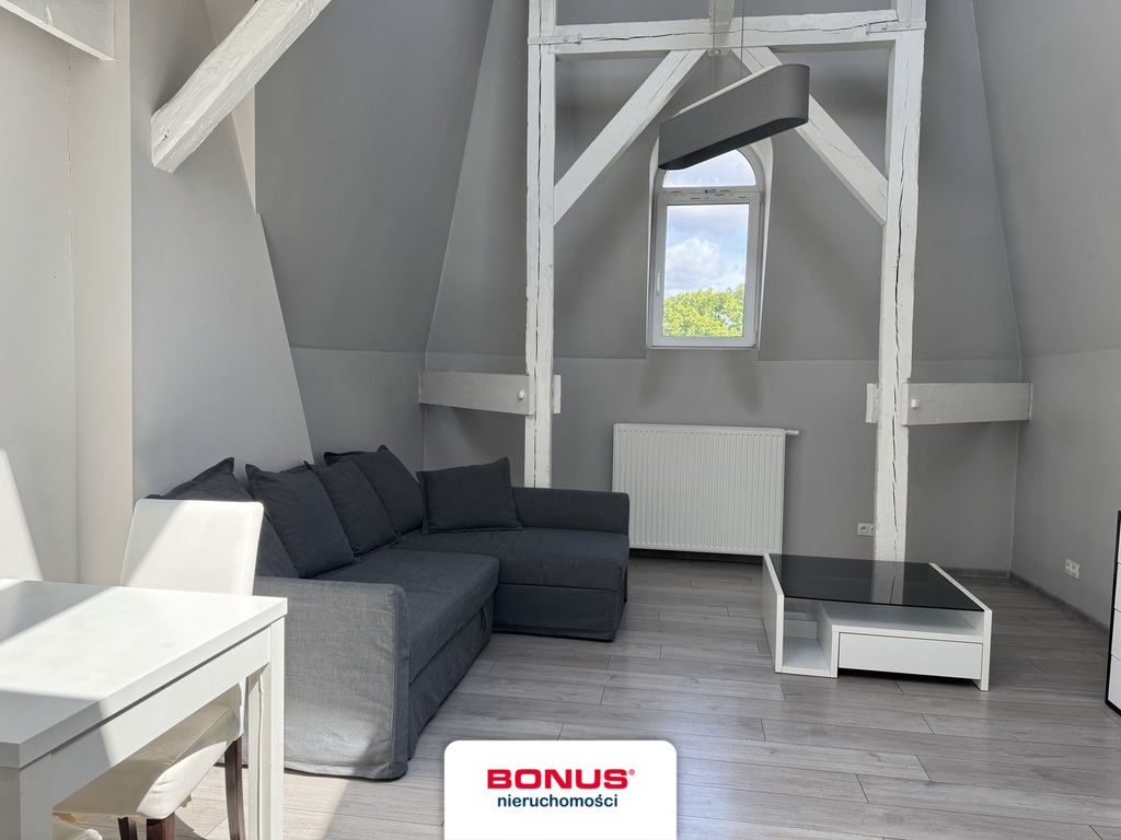 Kawalerka w centrum miasta (3)