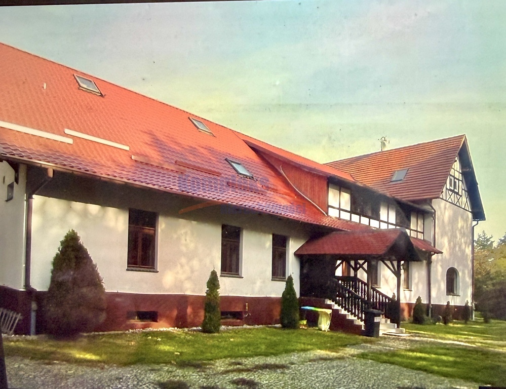 Lokal, 740 m2, 0 piętro, Żagań  (1)