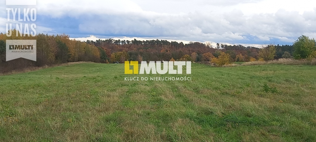 Steklno - działka budowlana z warunkami zabudowy (2)