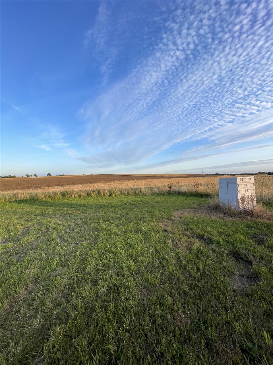 Działka z WZ | woda | prąd | 75.000 zł | Dobrzyca (5)