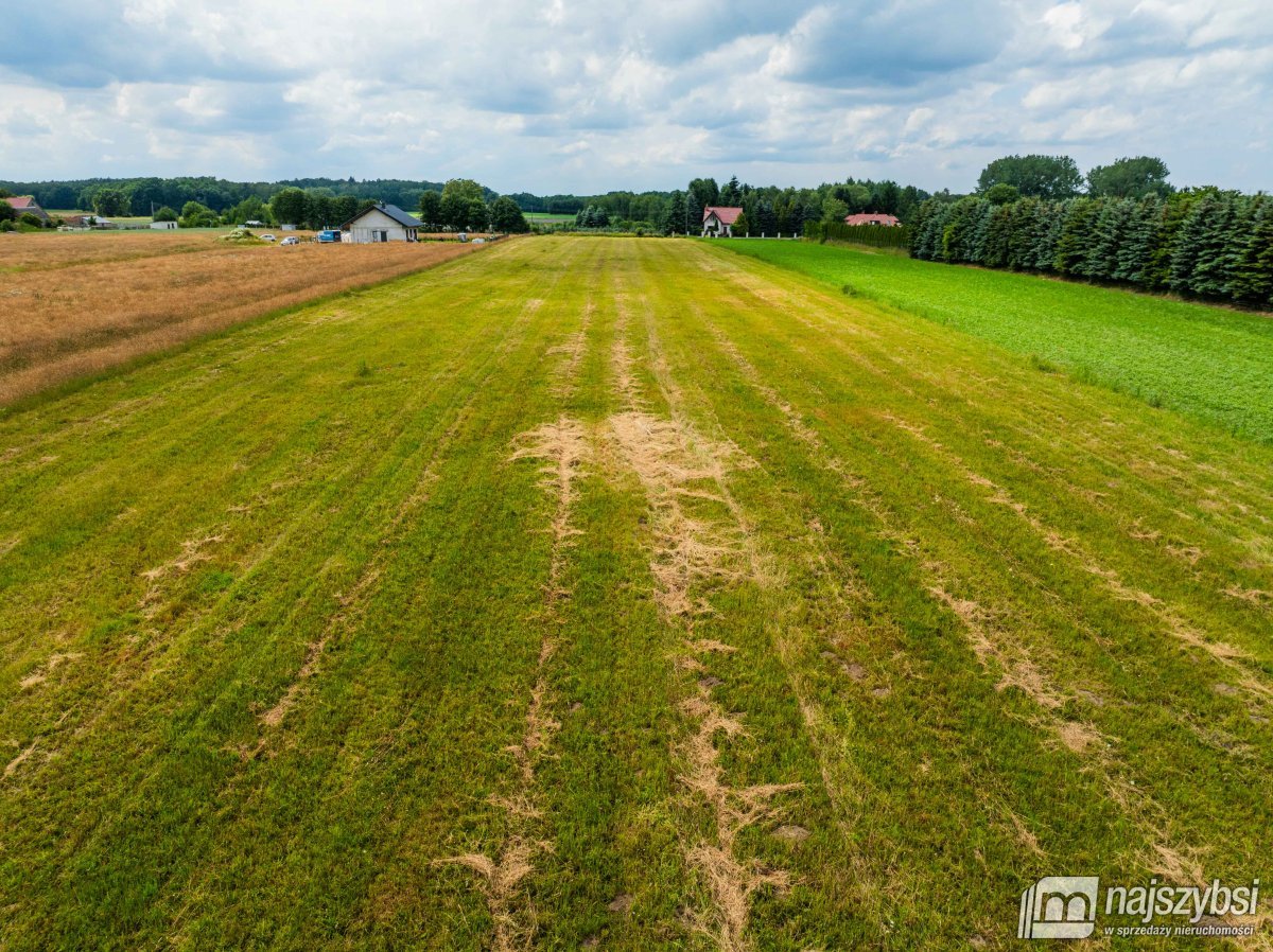 Sieciechowo- działka budowlana z warunkami zabudow (13)