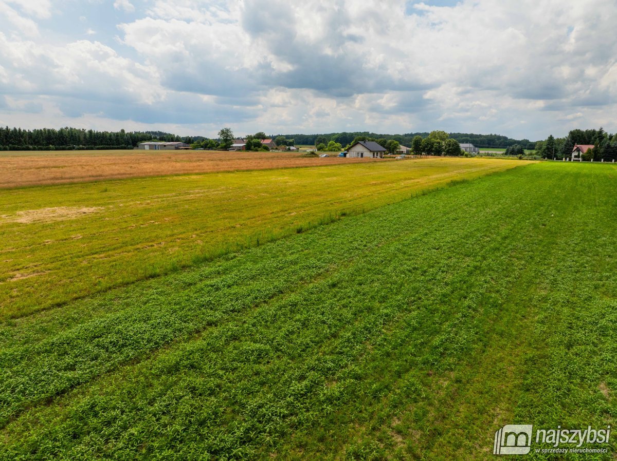 Sieciechowo- działka budowlana z warunkami zabudow (14)