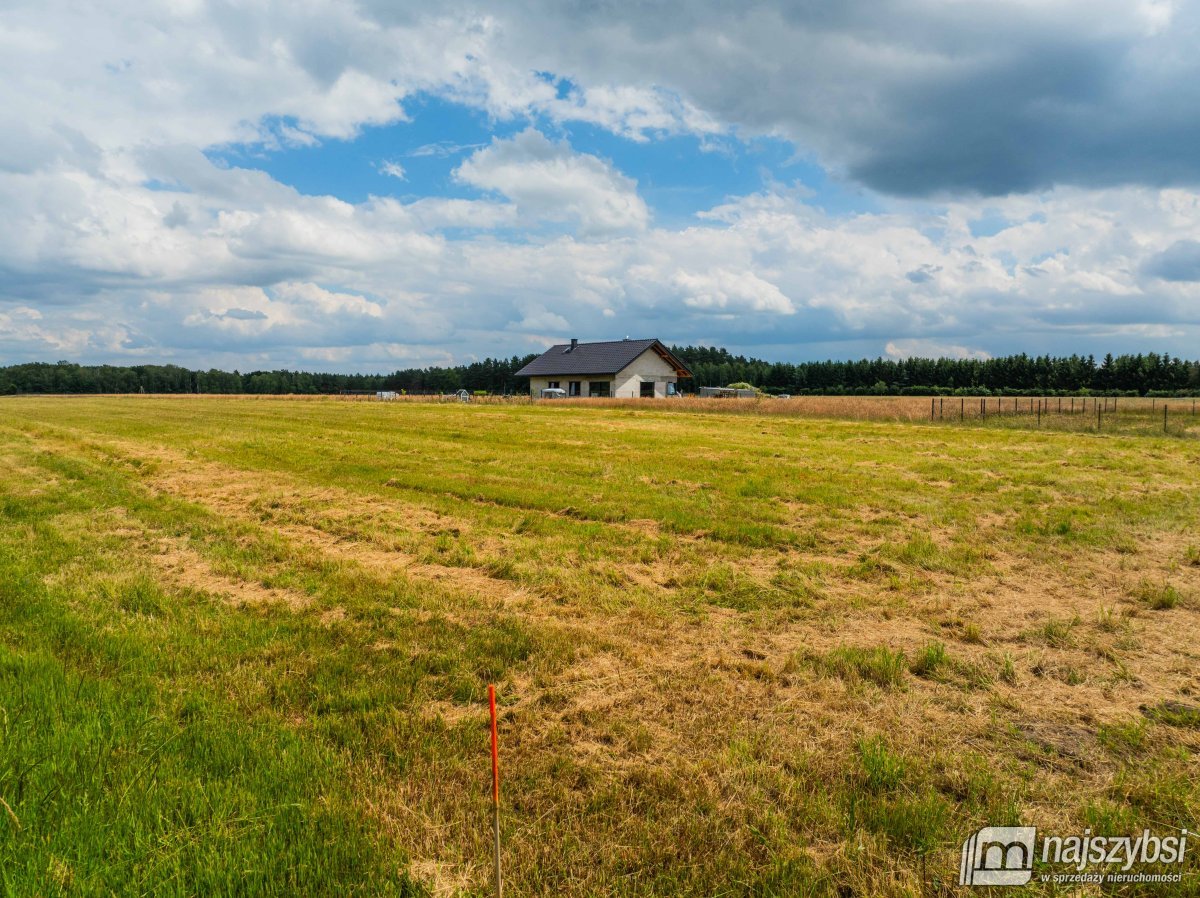 Sieciechowo- działka budowlana z warunkami zabudow (15)