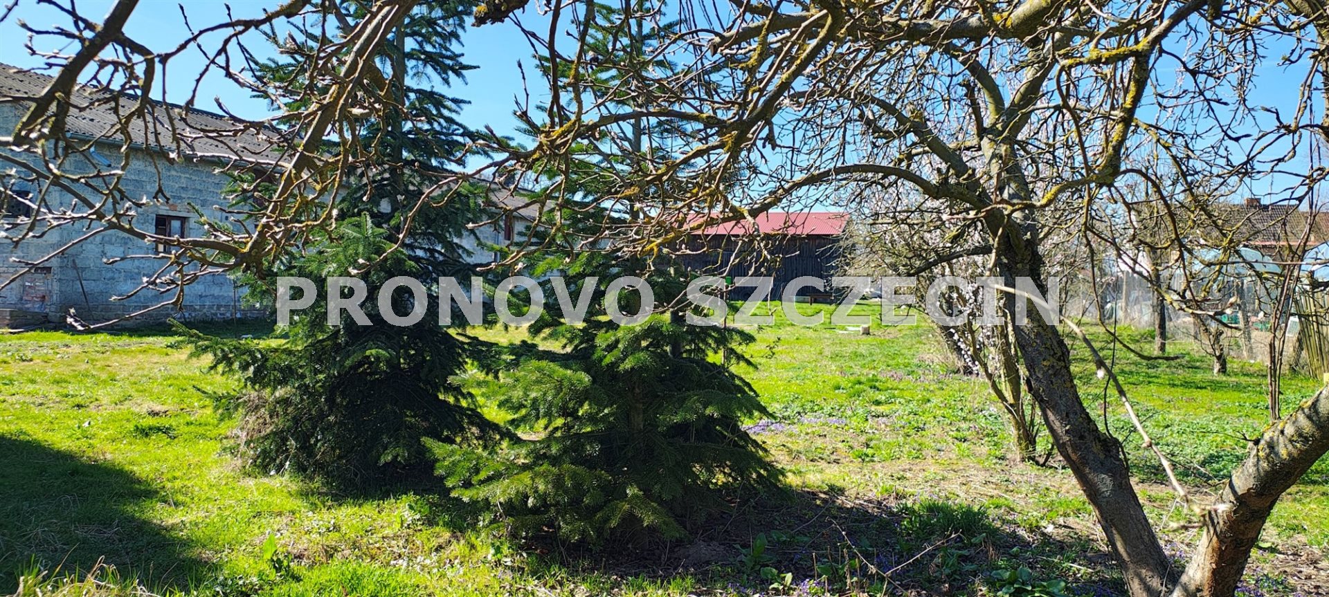 REZERWACJA Kłodzino,Przelewice nieruchomość  (23)