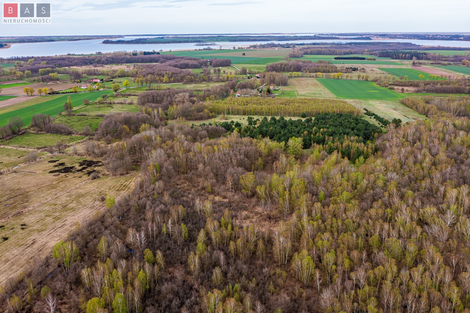 Las w Kukułowie gm. Kamień Pomorski (1)