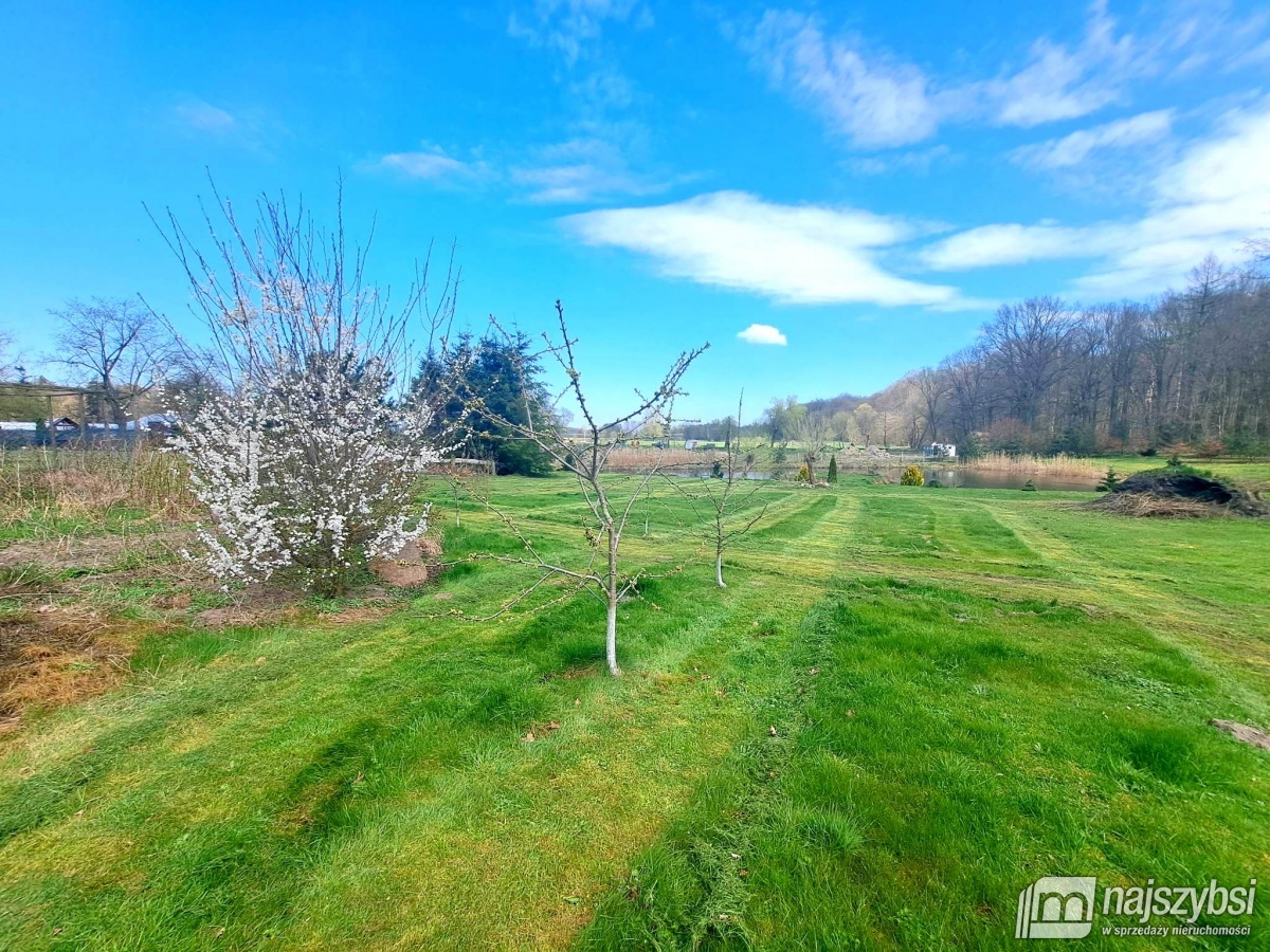 ***Dom na działce -  dodatkowo możliwość kupienia  (5)