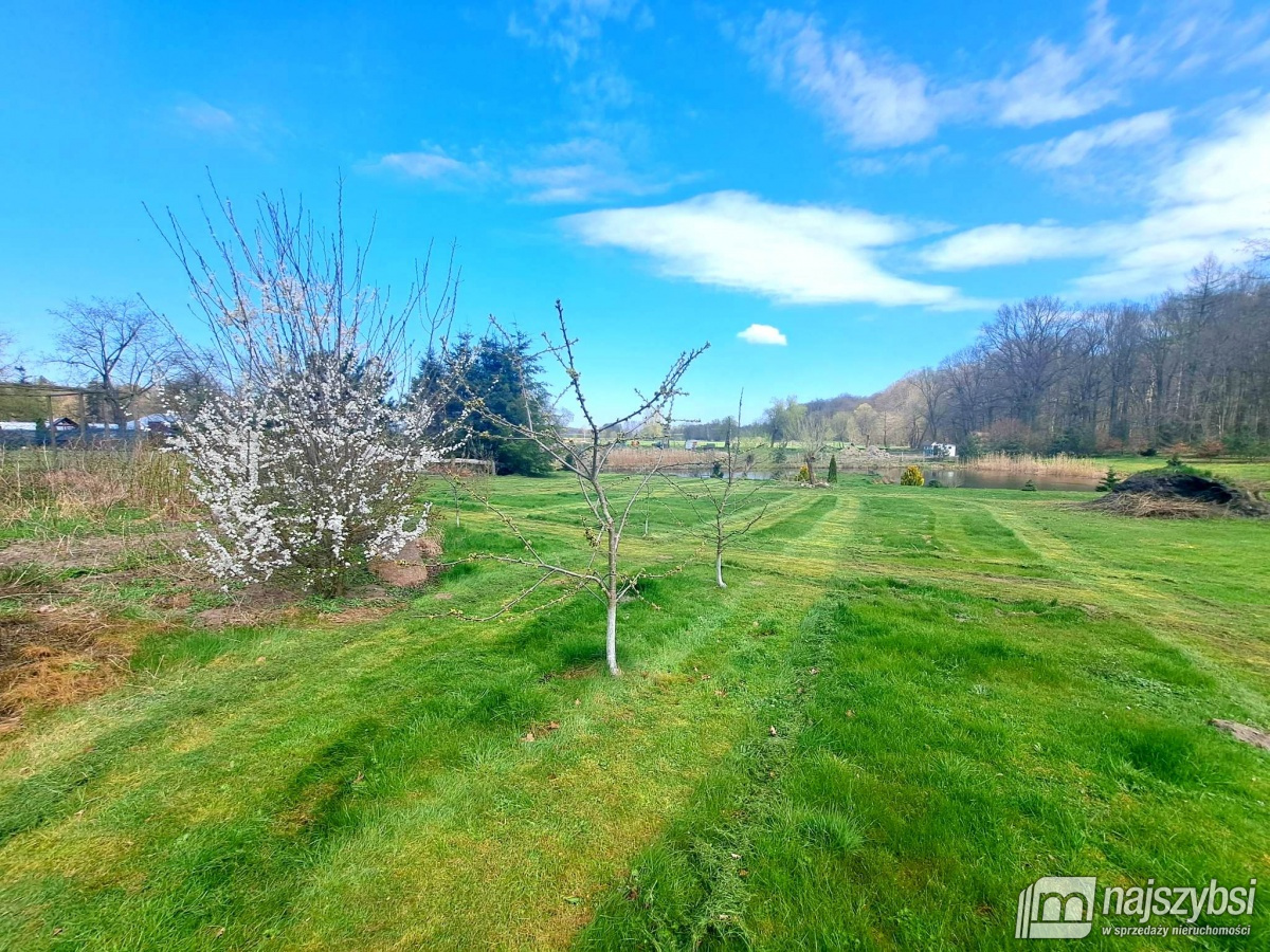 ***Dom na działce -  dodatkowo możliwość kupienia  (6)