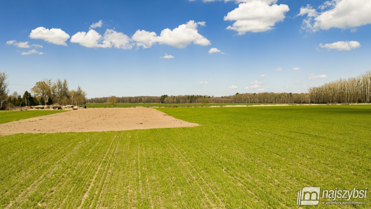 DABROWA-KOMPLEKS DZIAŁEK BUDOWLANYCH (13)