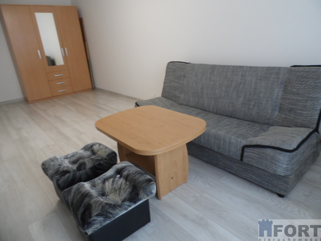 Duża kawalerka z balkonem (5)