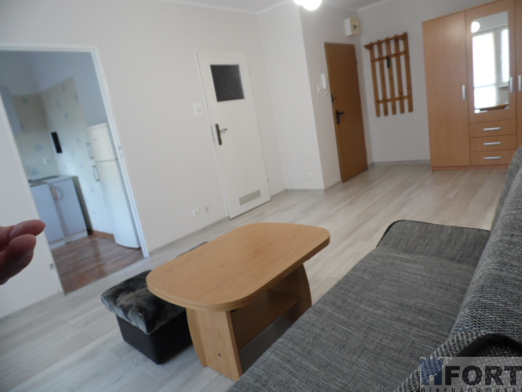 Duża kawalerka z balkonem (6)