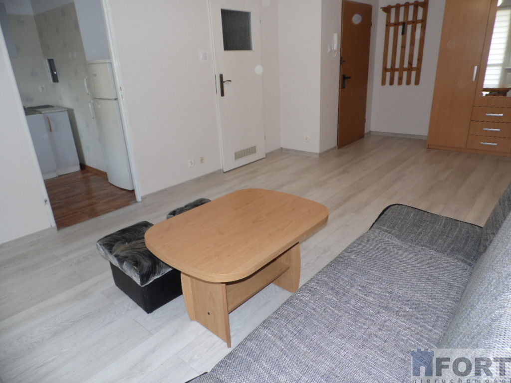 Duża kawalerka z balkonem (8)