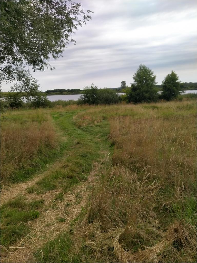 Działka 4211m2,Czarnowo, blisko jezioro,las. (1)