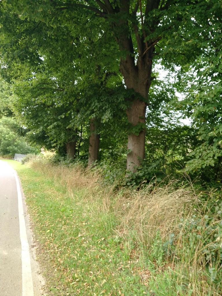 Działka 4211m2,Czarnowo, blisko jezioro,las. (7)