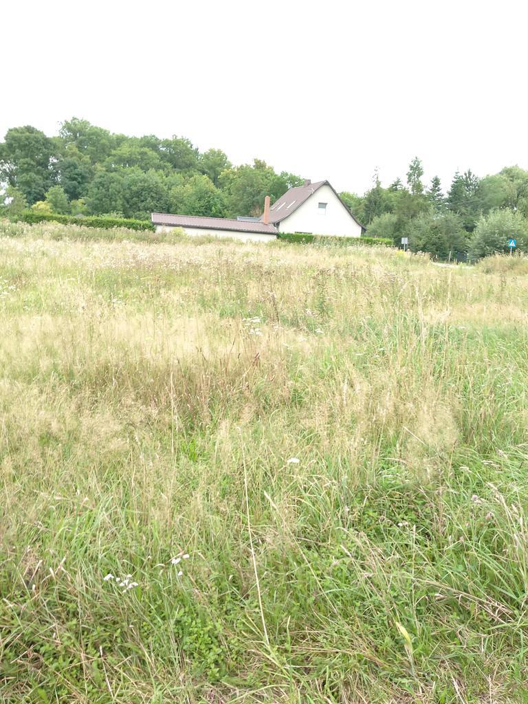 Działka 4211m2,Czarnowo, blisko jezioro,las. (13)