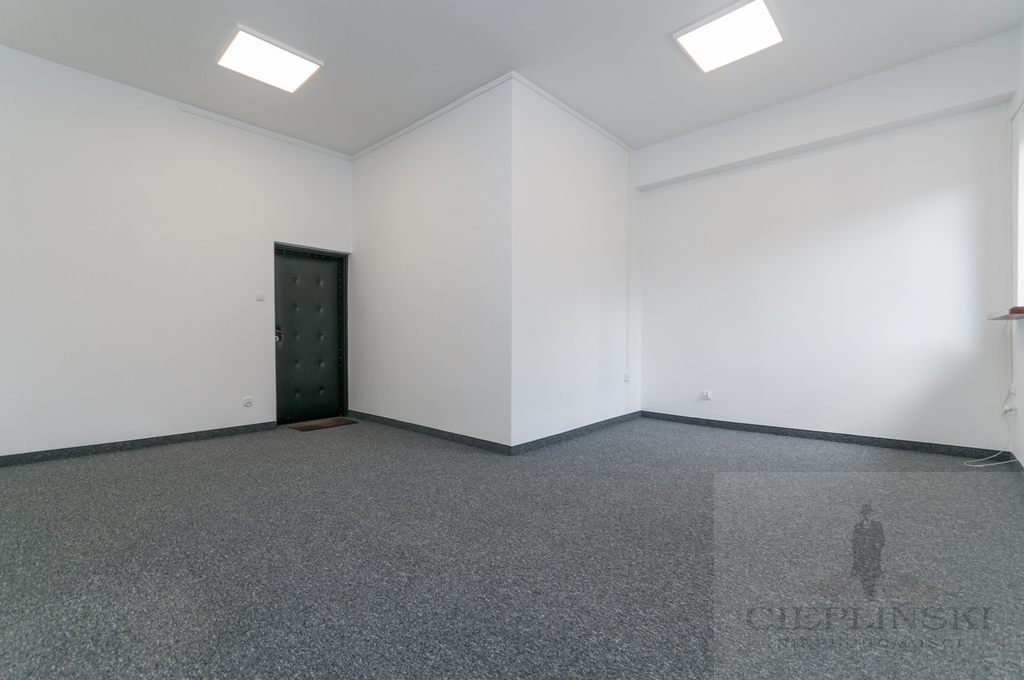 biuro do wynajęcia w Dąbiu (1)