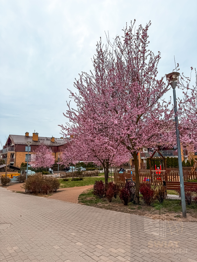 Na sprzedaż 3 pokojowe mieszkanie z ogrodem (6)