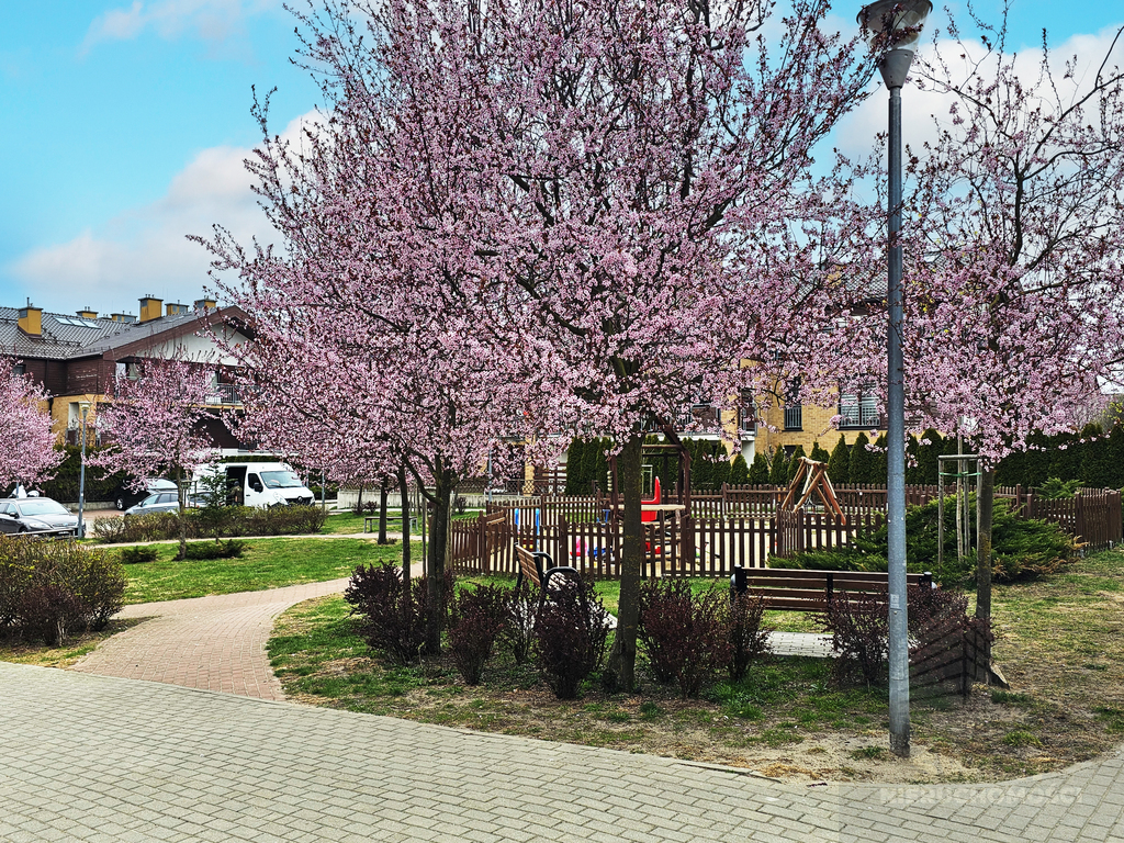 Na sprzedaż 3 pokojowe mieszkanie z ogrodem (11)