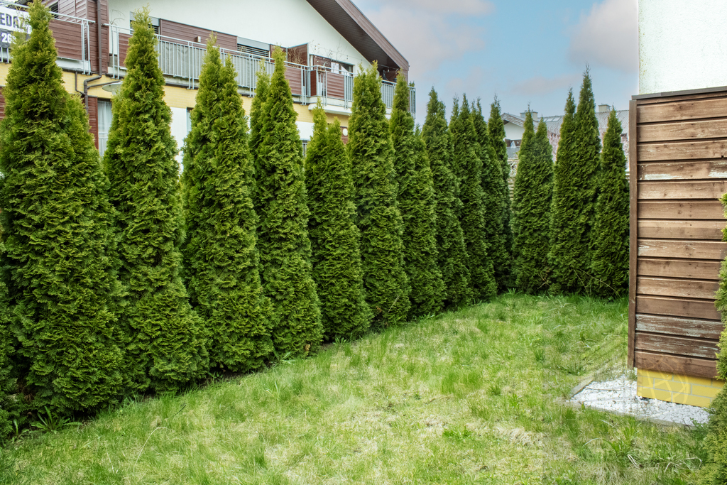 Na sprzedaż 3 pokojowe mieszkanie z ogrodem (23)