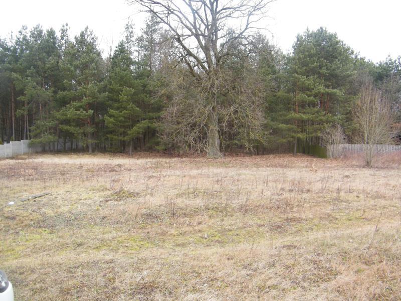 Działka bud. z lasem, widok na rzekę, Krzywopłoty (4)