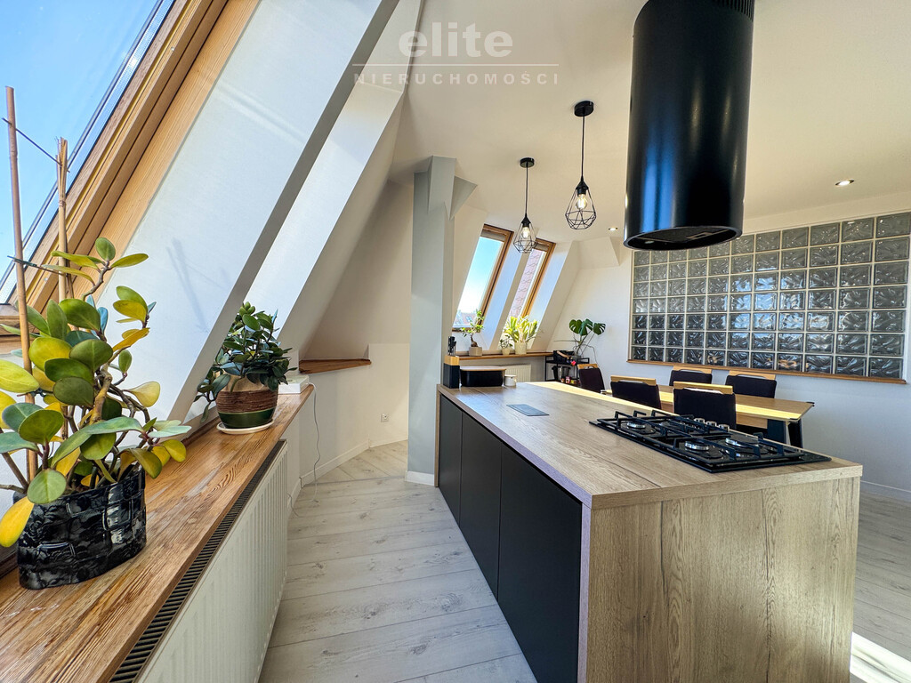 3 duże słoneczne pokoje centrum park urząd (3)