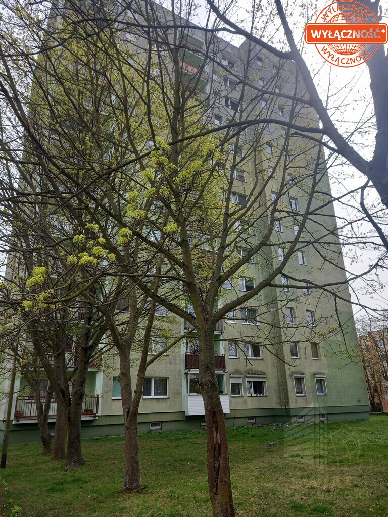 Os. Arkońskie , 2 pok. 48m2 po remoncie 495 tys. (3)