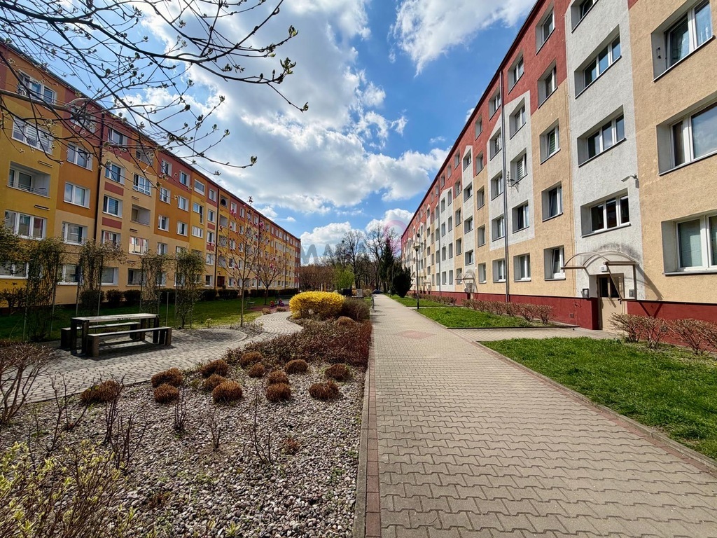 Słoneczne 2 pokoje | Pomorzany | 1 piętro (12)