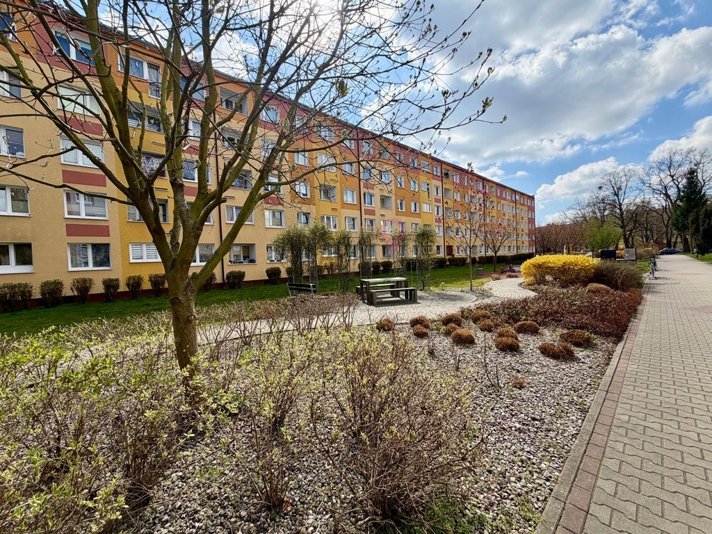 Słoneczne 2 pokoje | Pomorzany | 1 piętro (13)