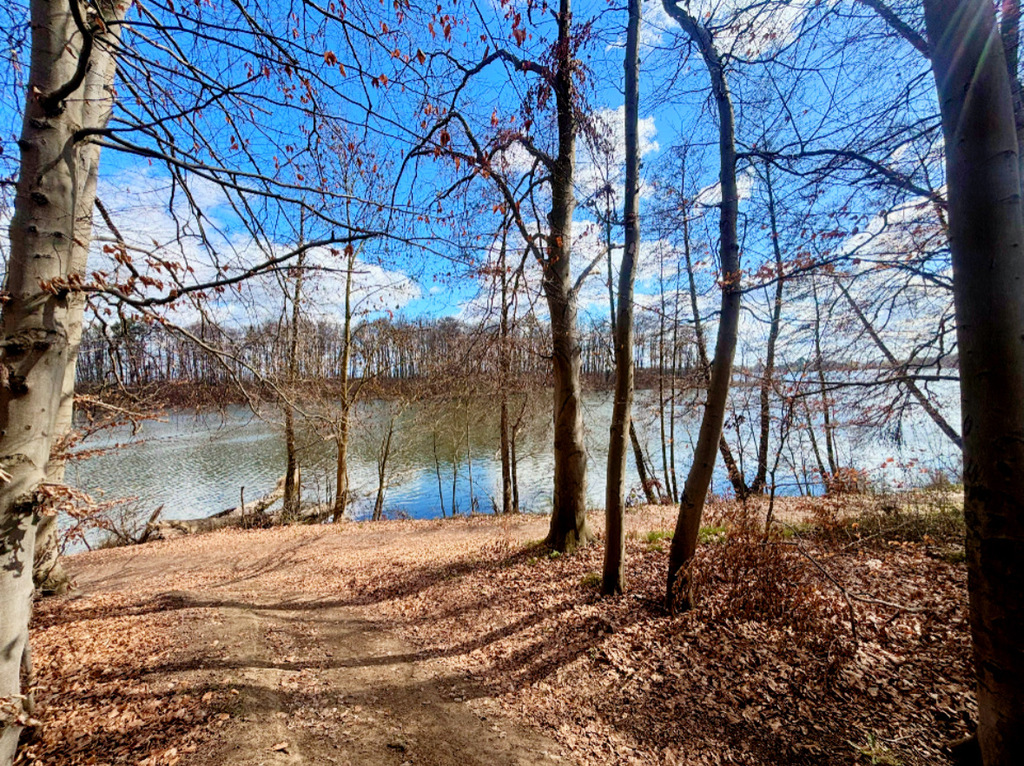Działka budowlana z linią brzegową jeziora (5)