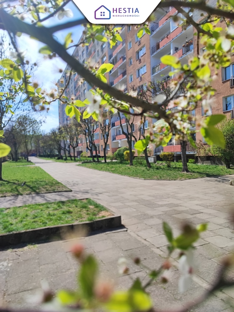 Przytulna kawalerka na wynajem (13)