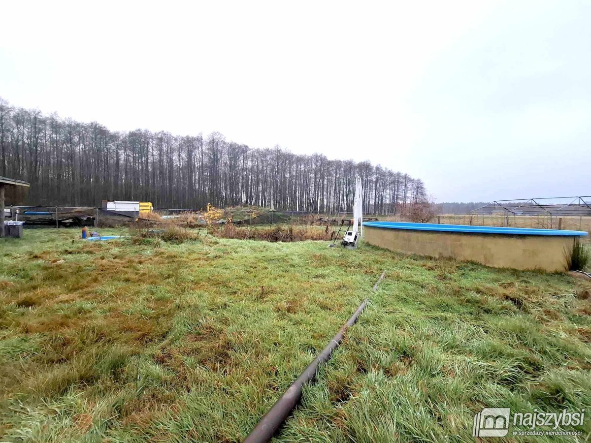 Pobierowo - okolice 9km do morza (8)