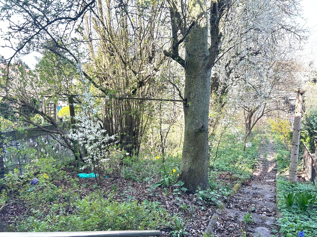 Dla miłośników Pogodna (5)