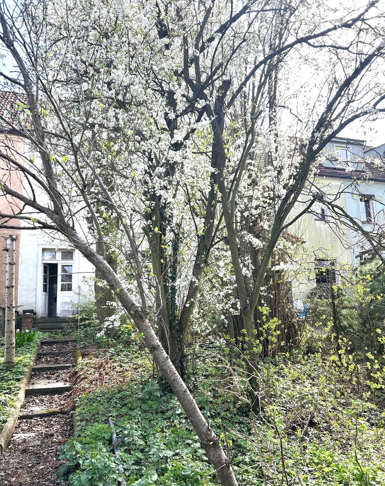 Dla miłośników Pogodna (9)