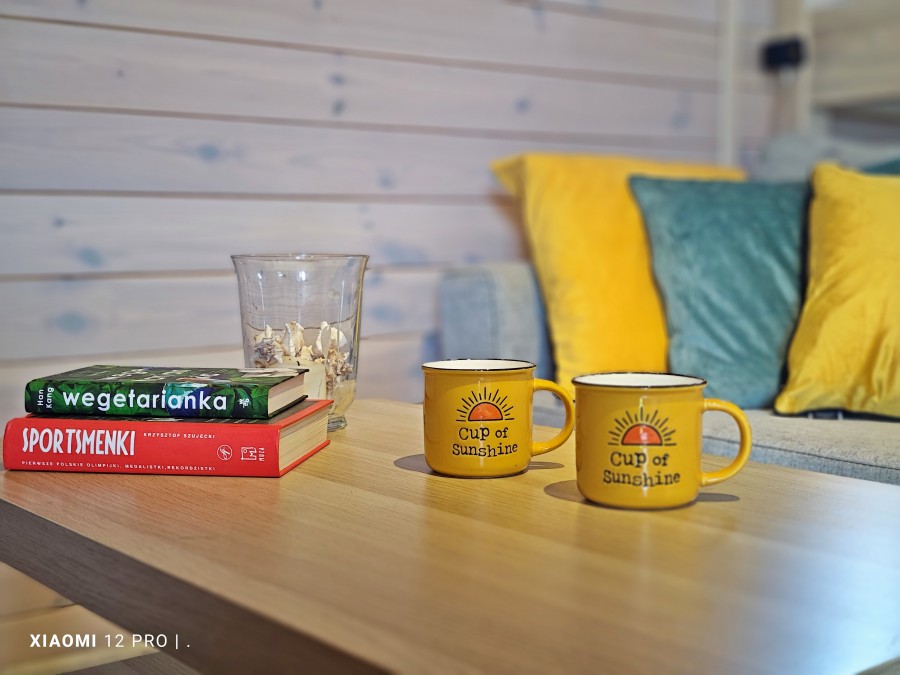 Całoroczny dom nad morzem (19)