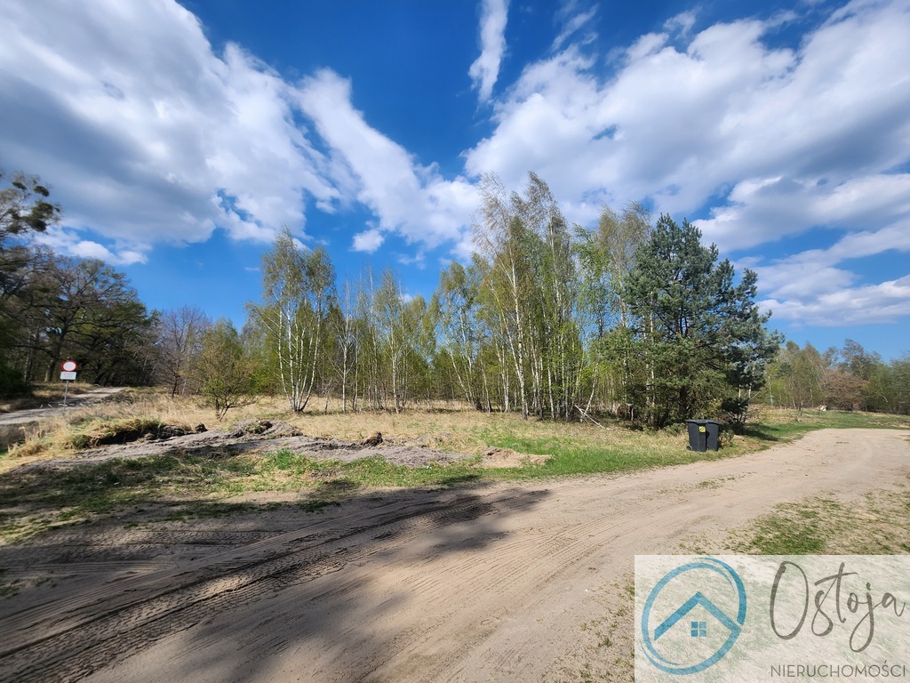 Działka z Warunkami zabudowy na 9 Domów- Grzepnica (3)